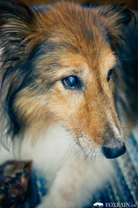 tobi-008-2866